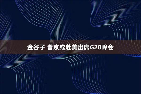 金谷子 普京或赴美出席G20峰会