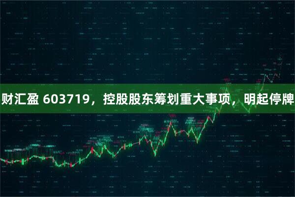 财汇盈 603719，控股股东筹划重大事项，明起停牌