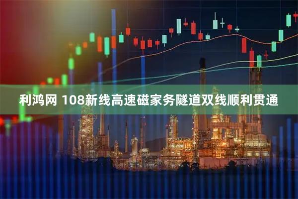 利鸿网 108新线高速磁家务隧道双线顺利贯通