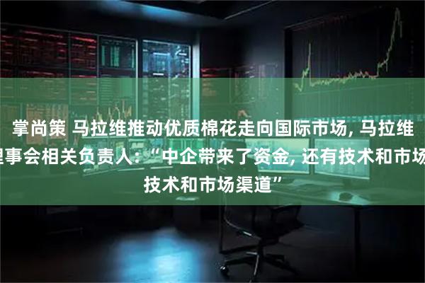 掌尚策 马拉维推动优质棉花走向国际市场, 马拉维棉花理事会相关负责人: “中企带来了资金, 还有技术和市场渠道”